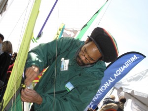 Jamaican kite maker