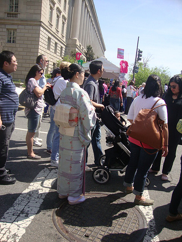 Cherry Blossom Fashion Woman in kimono